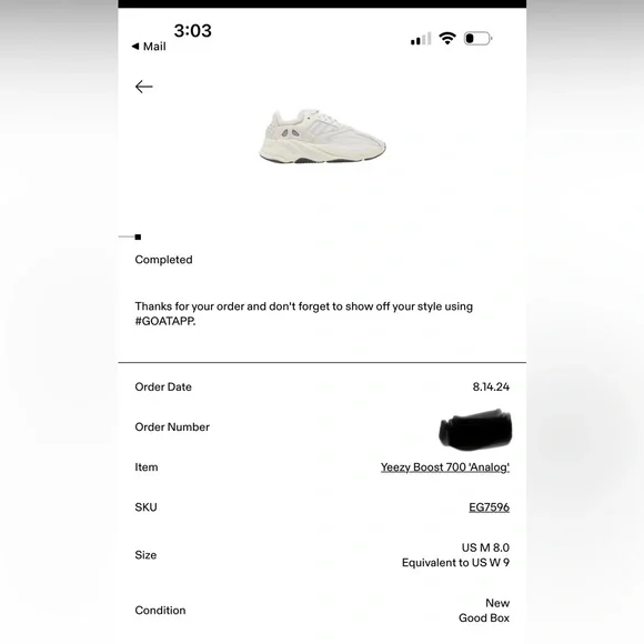 Yeezy Boost 700 Analog - Picture 10 of 10